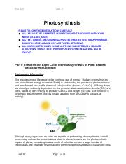 The effect of light color on photosynthesis in plant leaves course hero