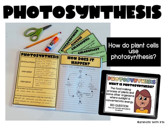 Photosynthesis lesson plans