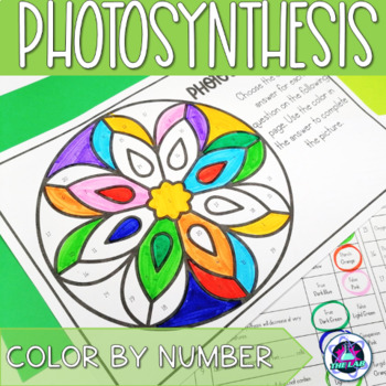 Photosynthesis review activity color by number by the lab with liezel pienaar