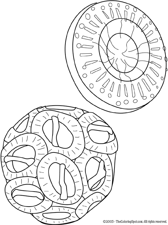 Phytoplankton coloring page audio stories for kids free coloring pages colouring printables