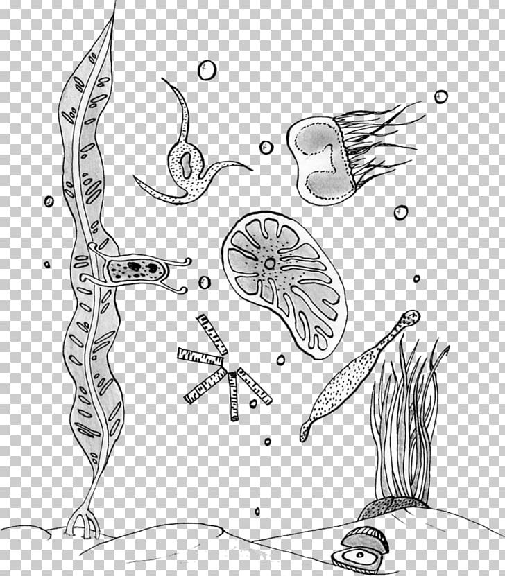 Plankton and karen coloring book phytoplankton drawing png clipart angle art artwork character coloring book free