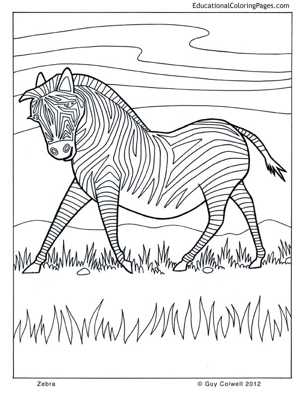 Life of pi â animal coloring pages