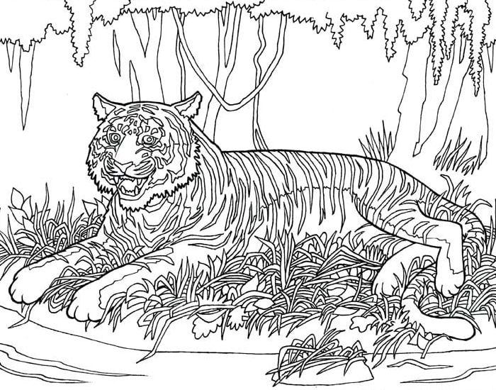 Life of pi â animal coloring pages