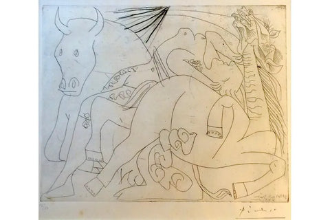 The line drawings of pablo picasso