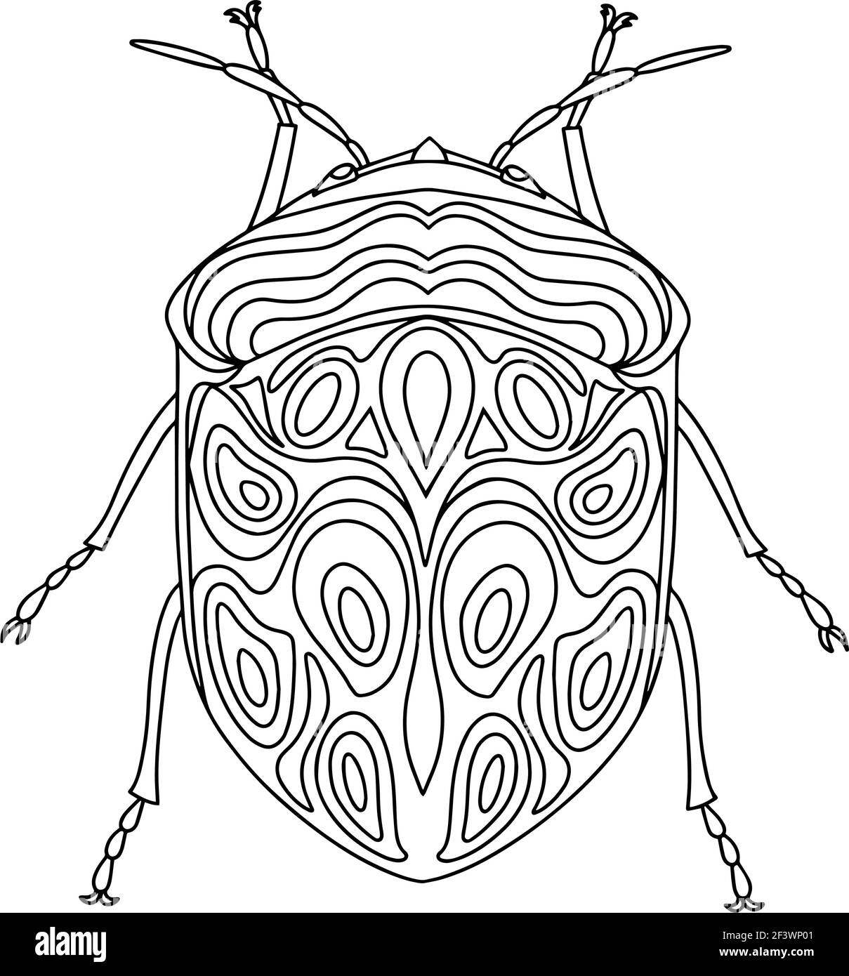 Beetle picasso coloring book bedbug illustration stock vector image art