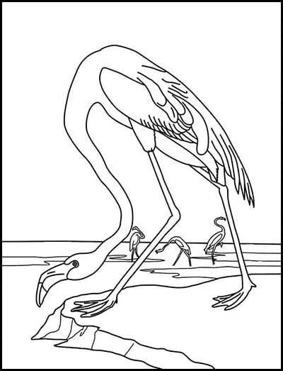 Fine art coloring pages