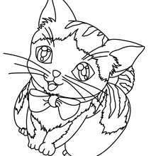 Cat picasso coloring pages