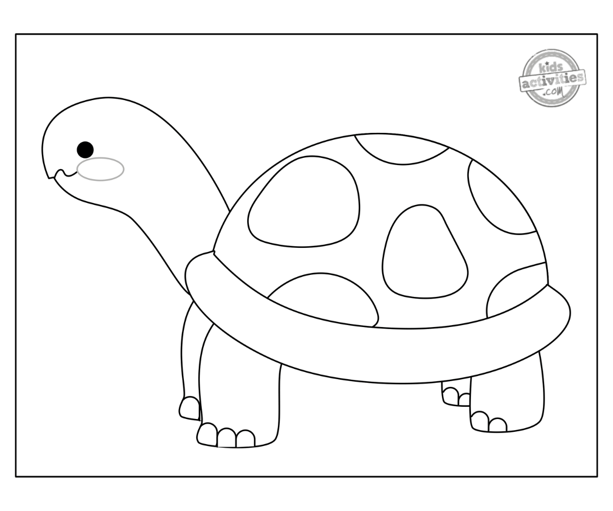 Darling printable desert tortoise coloring page kids activities blog