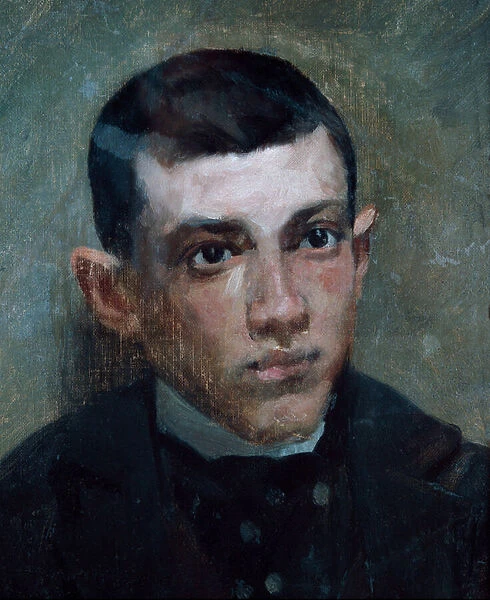 Portrait of the painter pablo picasso