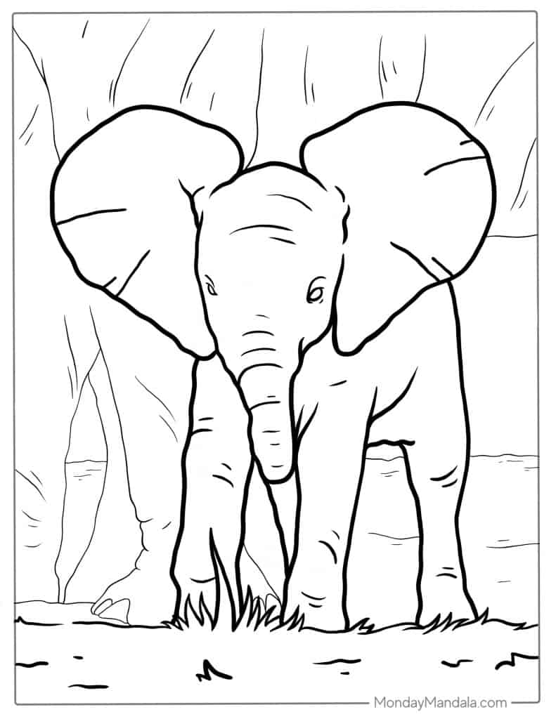 Elephant coloring pages free pdf printables