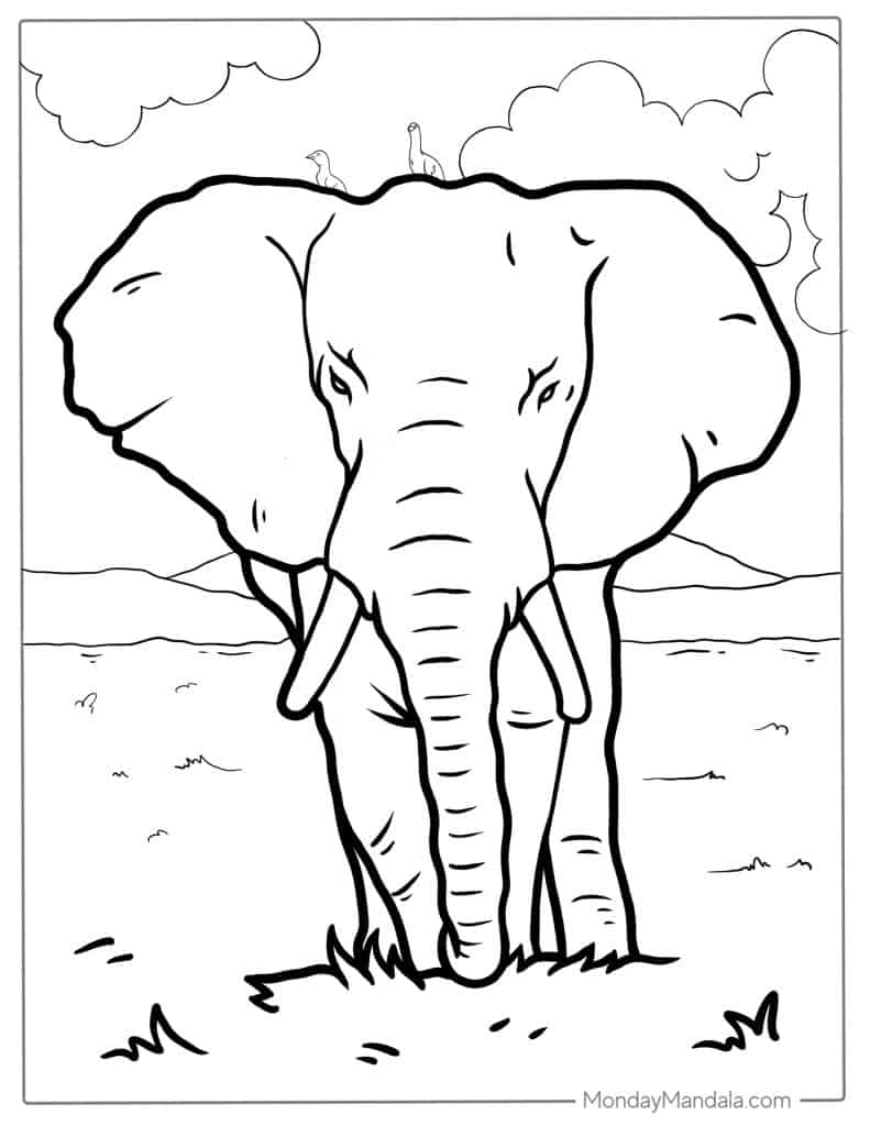 Elephant coloring pages free pdf printables