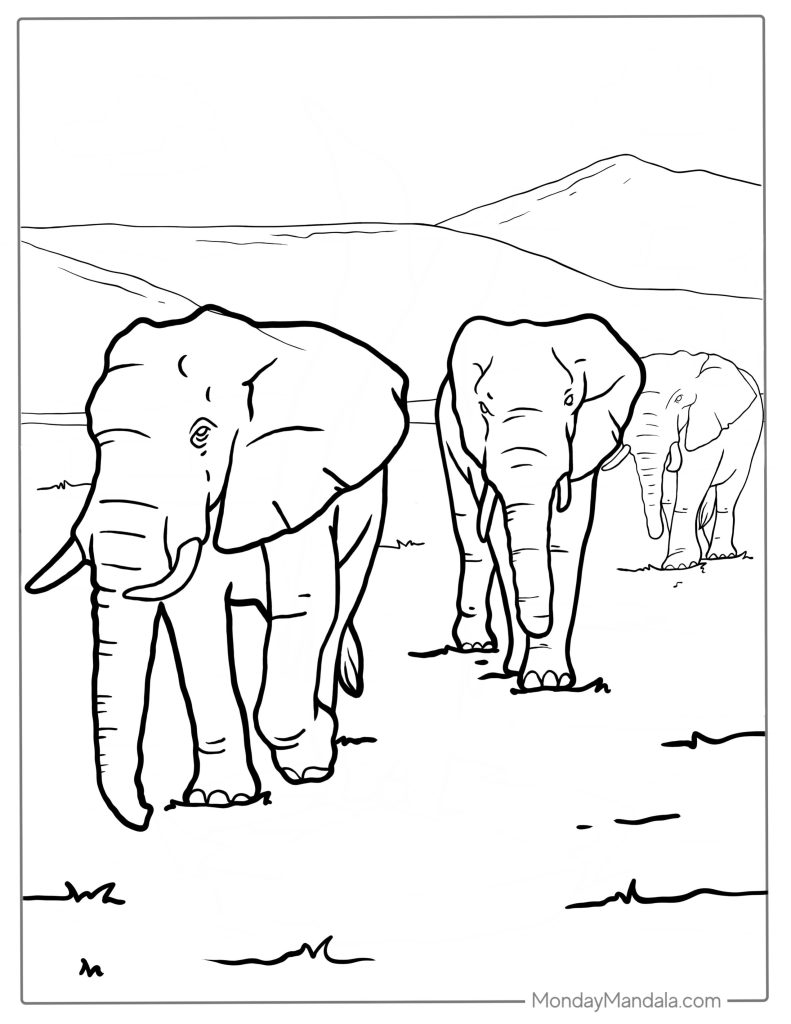 Elephant coloring pages free pdf printables