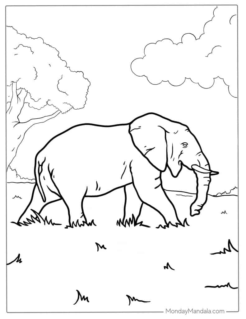 Elephant coloring pages free pdf printables