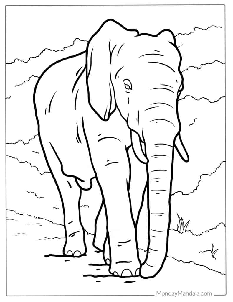 Elephant coloring pages free pdf printables