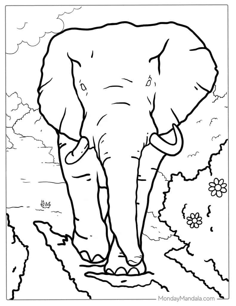 Elephant coloring pages free pdf printables