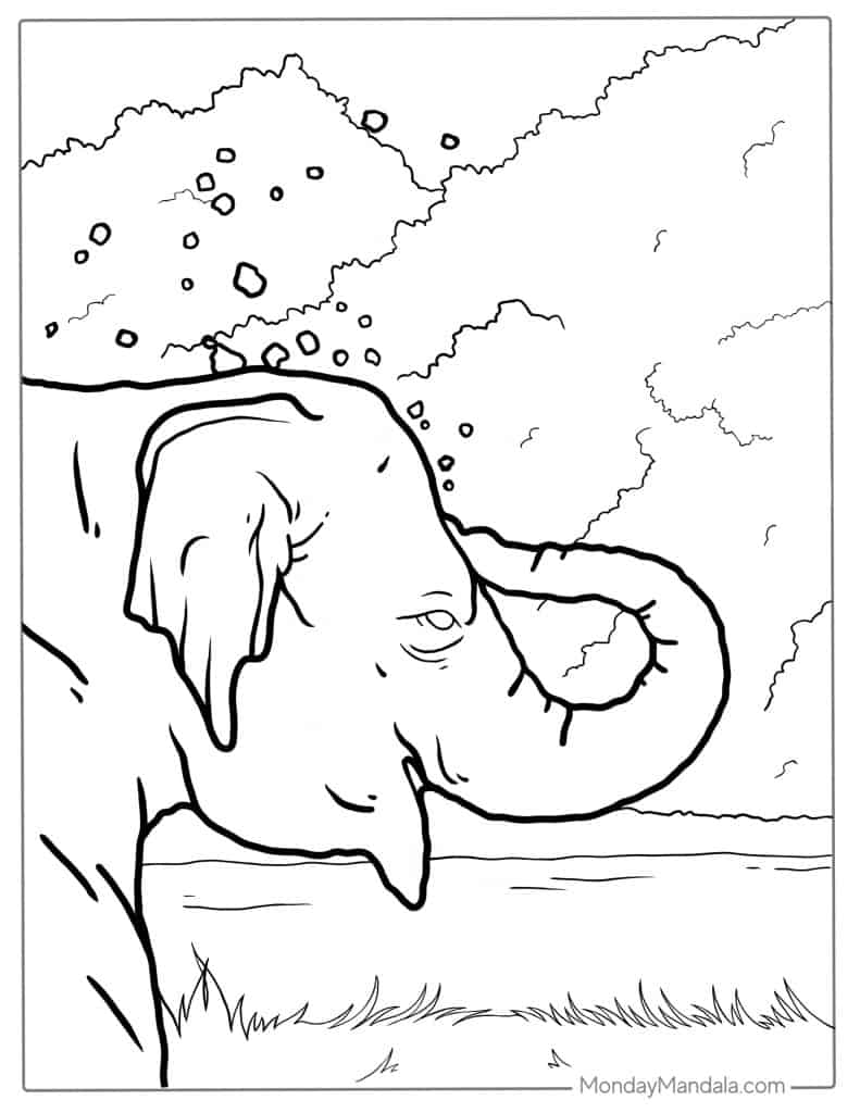 Elephant coloring pages free pdf printables