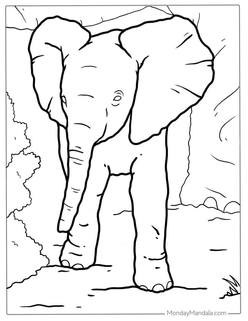 Elephant coloring pages free pdf printables