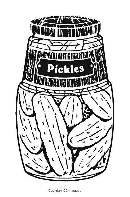 Illustration with jar of pickles csa images