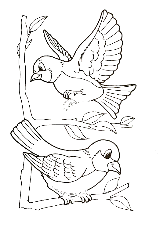 Coloriagesoiseaugif ã pajaros para colorear libro de colores pãginas para colorear