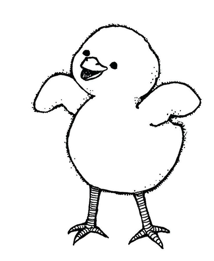 Cute chicken coloring pages pdf for children