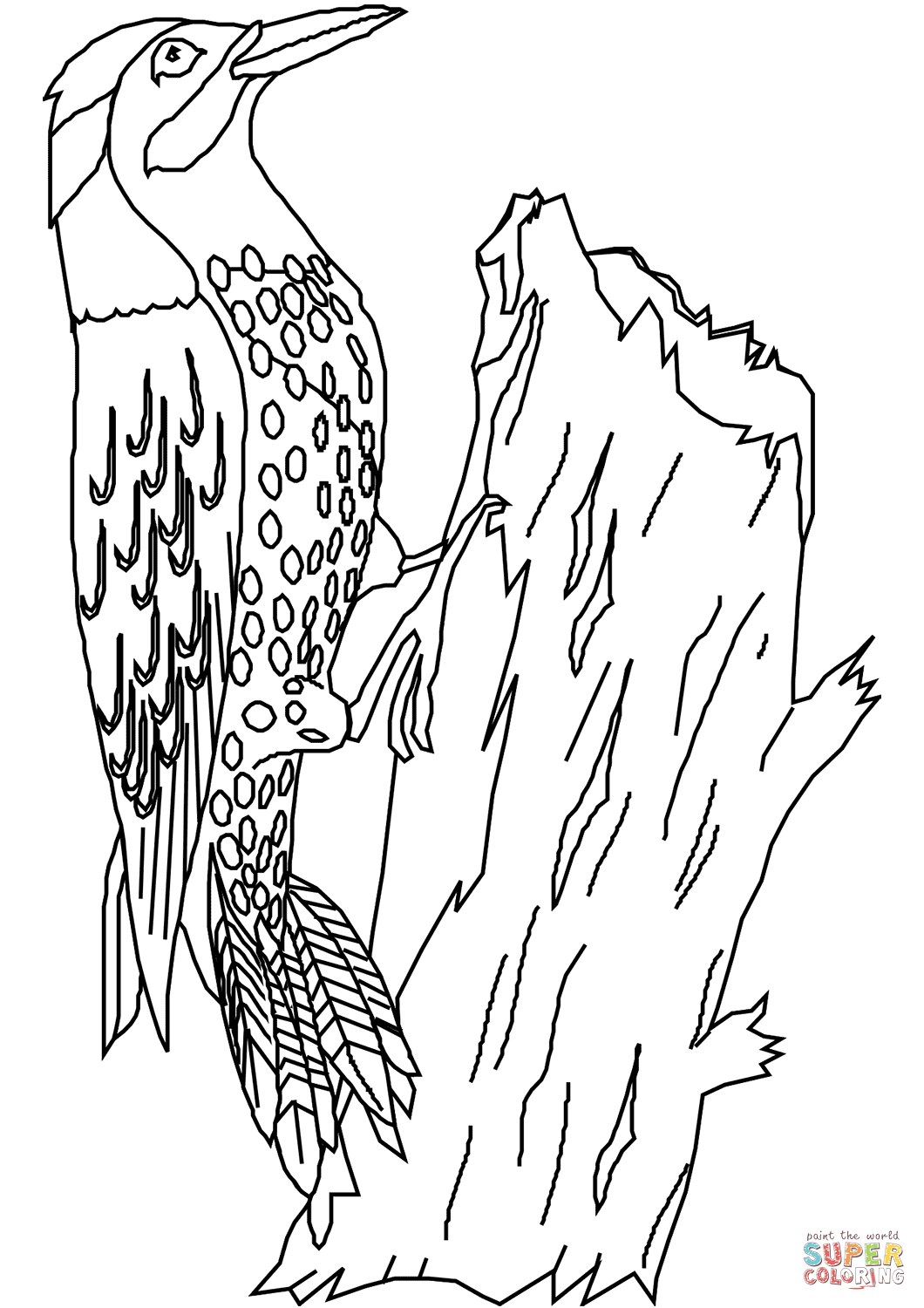 Woodpecker coloring page free printable coloring pages