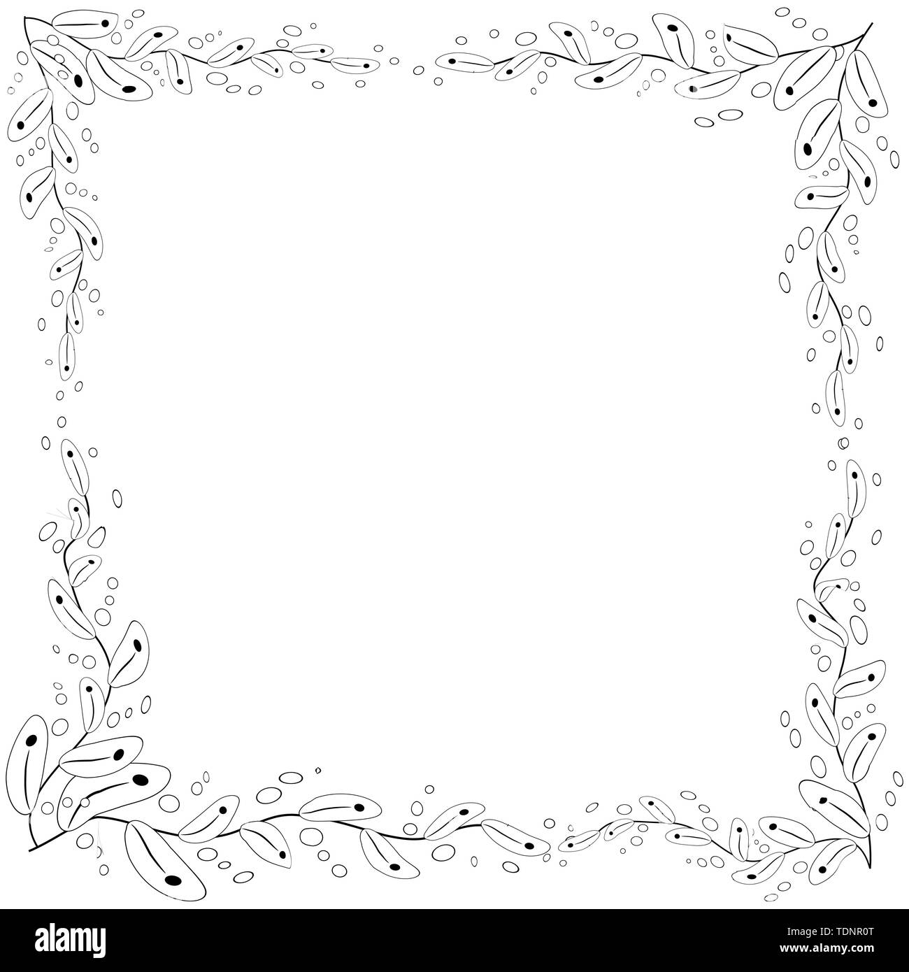 Floral frame coloring book for adult and older children or like greeting card for birthday valentines day or wedding invitation stock vector image art