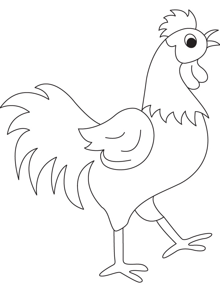 Beautyful rooster coloring page download free beautyful rooster coloring page for kids best coloring pages