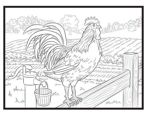 Rooster single coloring page