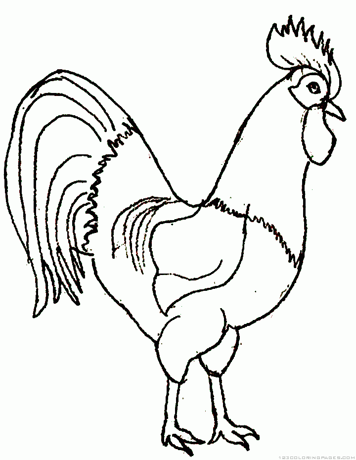 Rooster coloring pages