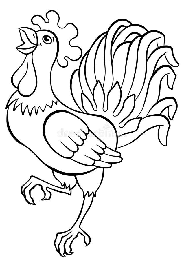 Coloring pages birds cute rooster stock vector