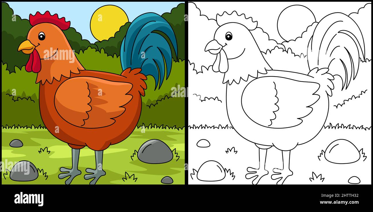 Rooster coloring page colored illustration stock vector image art