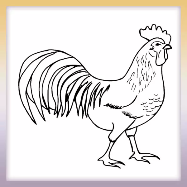 Rooster â