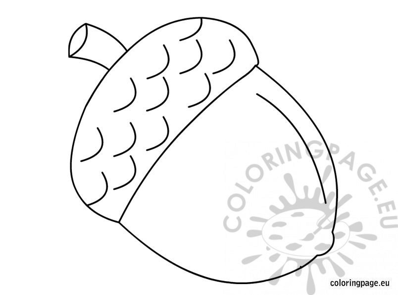 Acorn coloring page coloring page