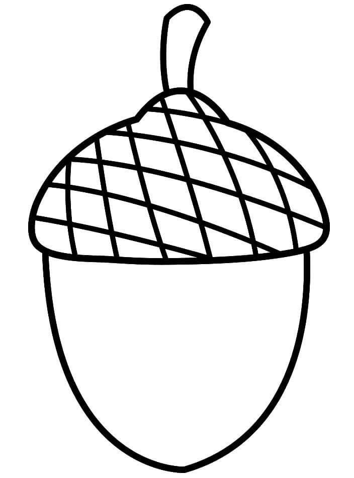 Acorn coloring pages