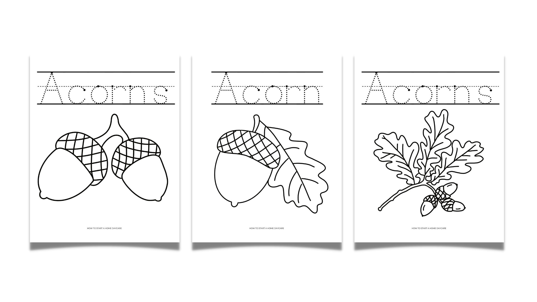 Free printable acorn coloring pages