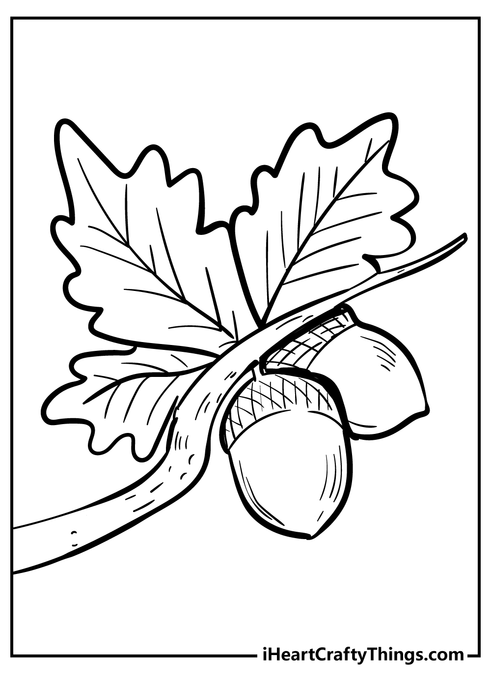 Acorn coloring pages free printables