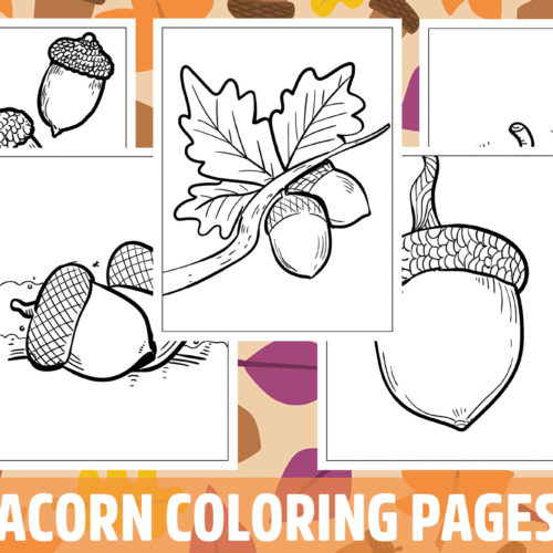 Acorn coloring pages for kids girls boys teens birthday school activity made by teachers