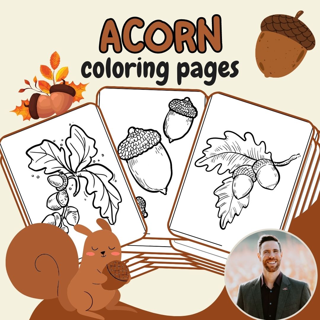 Acorn coloring pages a great way to promote creativity and relaxation made by teachers