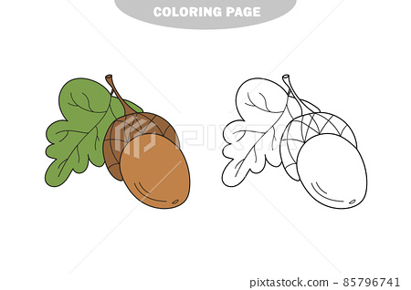 Simple coloring page acorn