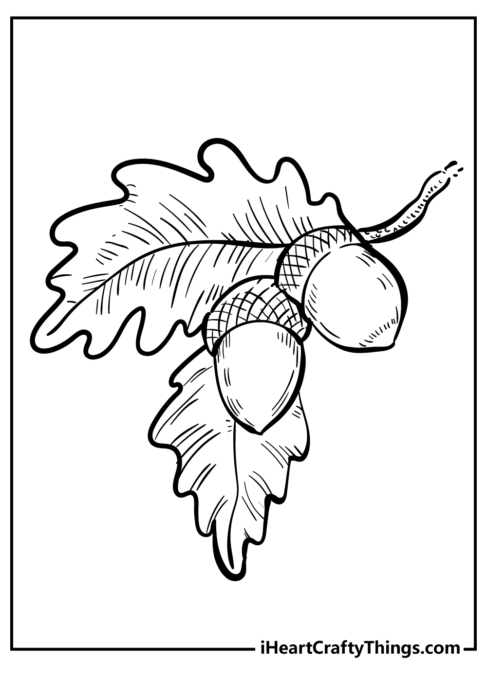 Acorn coloring pages free printables