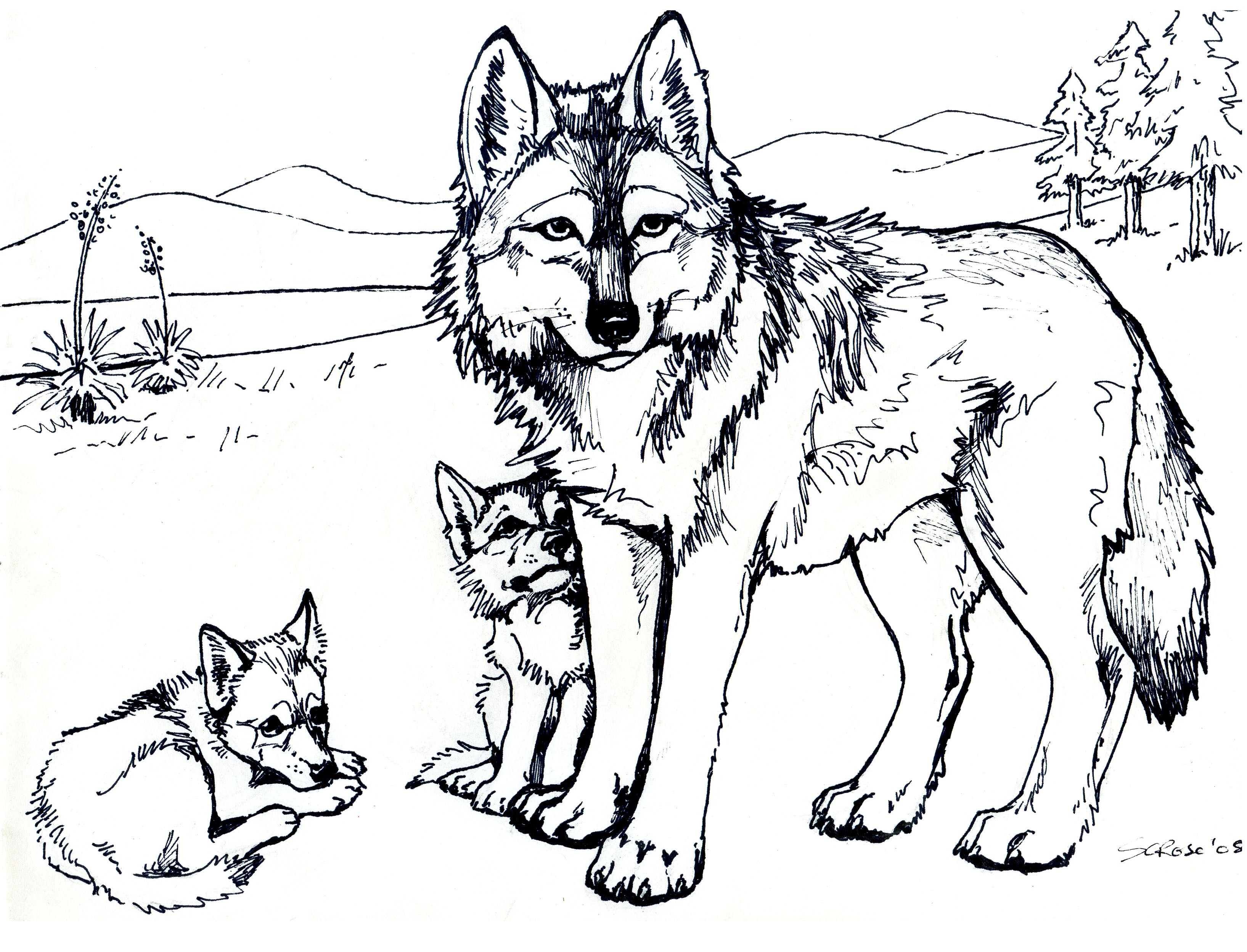 Free printable wolf coloring pages for kids