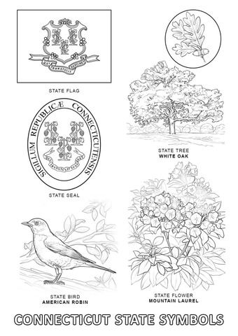 Discover connecticut state symbols