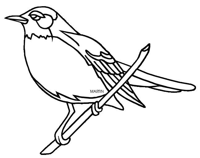 United clip art by phillip martin state bird of connecticut