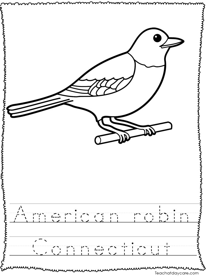 State birds color worksheets state symbols made by teachers