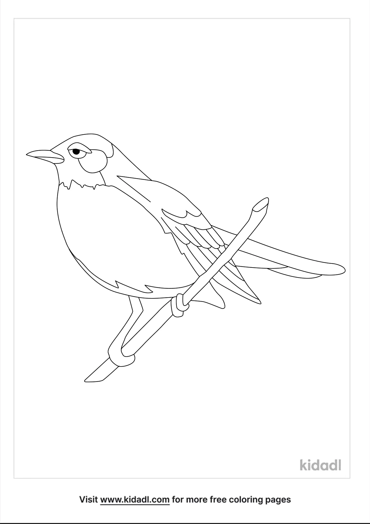 Free connecticut state bird coloring page coloring page printables