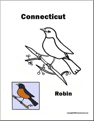 Connecticut state bird