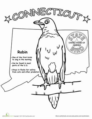 Connecticut state bird worksheet education state birds states project connecticut