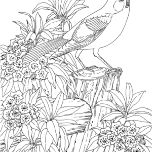 Laurel coloring pages printable for free download