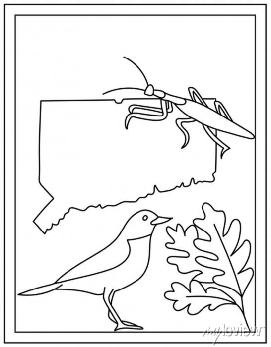 Connecticut coloring page designed in hand drawn vectors wall mural â murals linear outline template