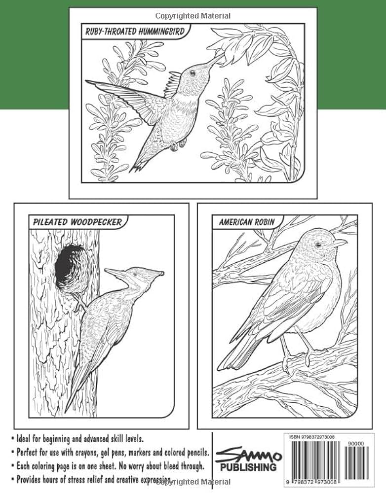 Birds of connecticut coloring book for kids teens adults a collection of common unique birds of connecticut for bird watchers to identify and color by morrison sam